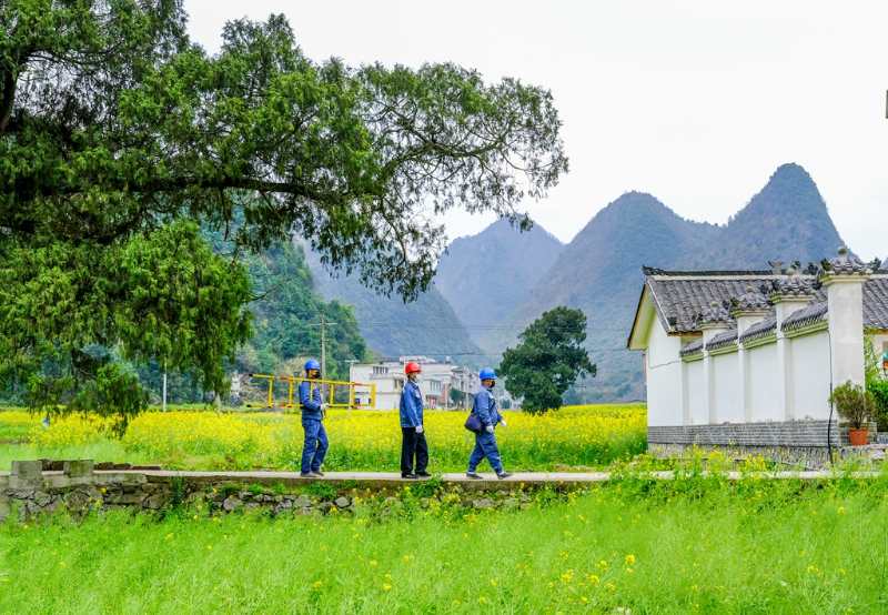 平塘供電局：“網(wǎng)格化”服務，護航“菜籃子”