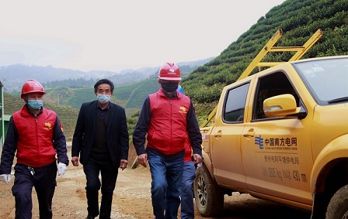 平塘供電局：“加減法”同構(gòu)服務，護航“貴州春茶第一壺”