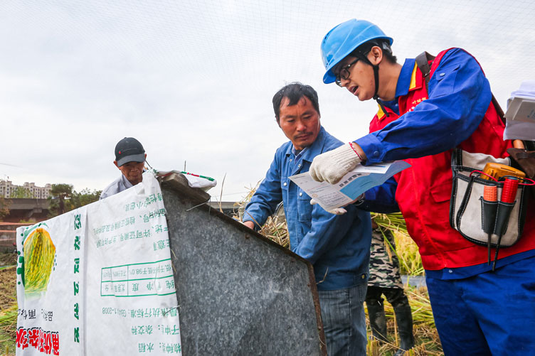國網寧波市鄞州區(qū)供電公司：深入田間地頭，助力“三秋”保豐收
