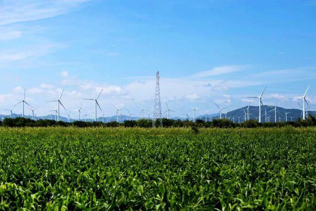 收購墨西哥818MW光伏電站，國家電投境外光伏電站裝機超6GW
