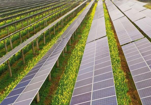 廣東清遠建設小型農光互補光伏發(fā)電站，工程總投資1.5億元