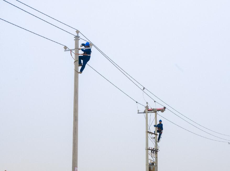阿拉善供電公司：電網(wǎng)健康“體檢”，從登桿開始