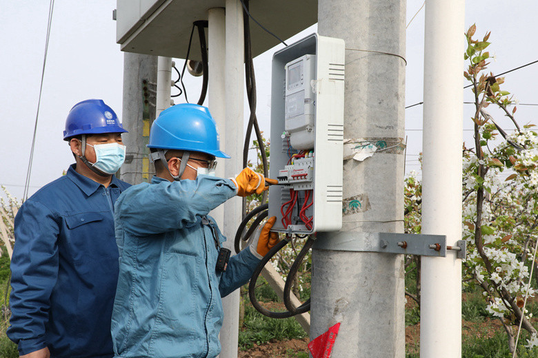 國網(wǎng)諸城市供電公司電力足，千畝梨園花正濃