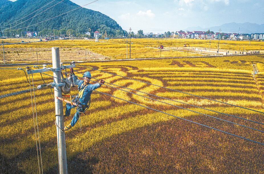 杭州富陽區(qū)供電公司改造升級農網(wǎng)，服務農業(yè)生產電氣化