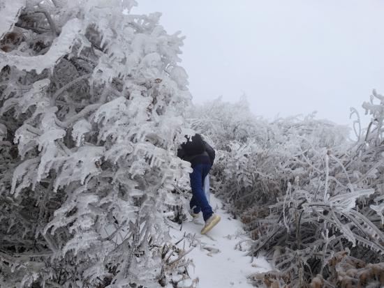 【新春走基層】迎雪而上攻堅行，奮戰(zhàn)不息護光明