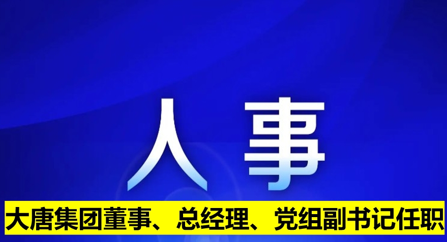 大唐集團董事、總經(jīng)理、黨組副書記任職